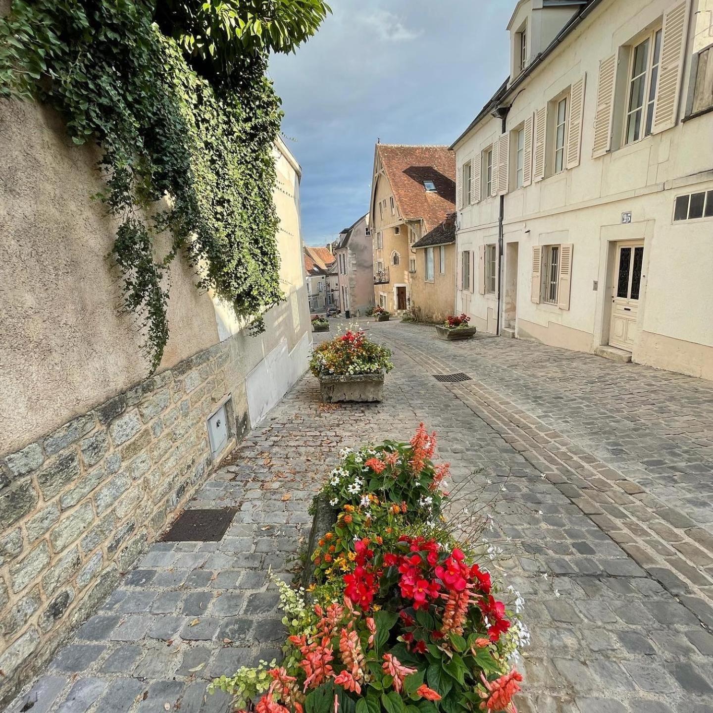 Le Pigeonnier Centre Historique Auxerre 아파트 외부 사진